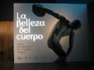 Alicante. Exposición Discóbolo (003)