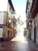 Oviedo(65)