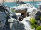Santander(49)-Sitio Real de la Magdalena-Mini zoo-Recinto de pingüinos