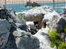 Santander(49)-Sitio Real de la Magdalena-Mini zoo-Recinto de pingüinos