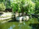 Santander(73)-Parque de Mataleñas-Estanque de Mataleñas