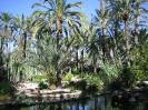 Elche (Alicante) Jardín Huerto del Cura (2)