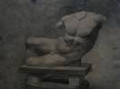 Torso