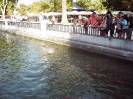 Fin de semana en Madrid (44)-Parque del Retiro