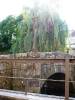 Caldas de Reis(05)