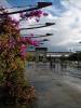 Ferrol