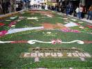 Ponteareas(07)-Corpus Christi