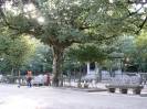 Santiago de Compostela(56)-Alameda