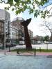 Vilagarcía de Arousa(12)