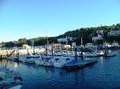 Bermeo(27)-Puerto viejo