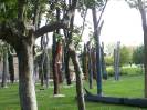 El bosque pintado de Santa Marta
